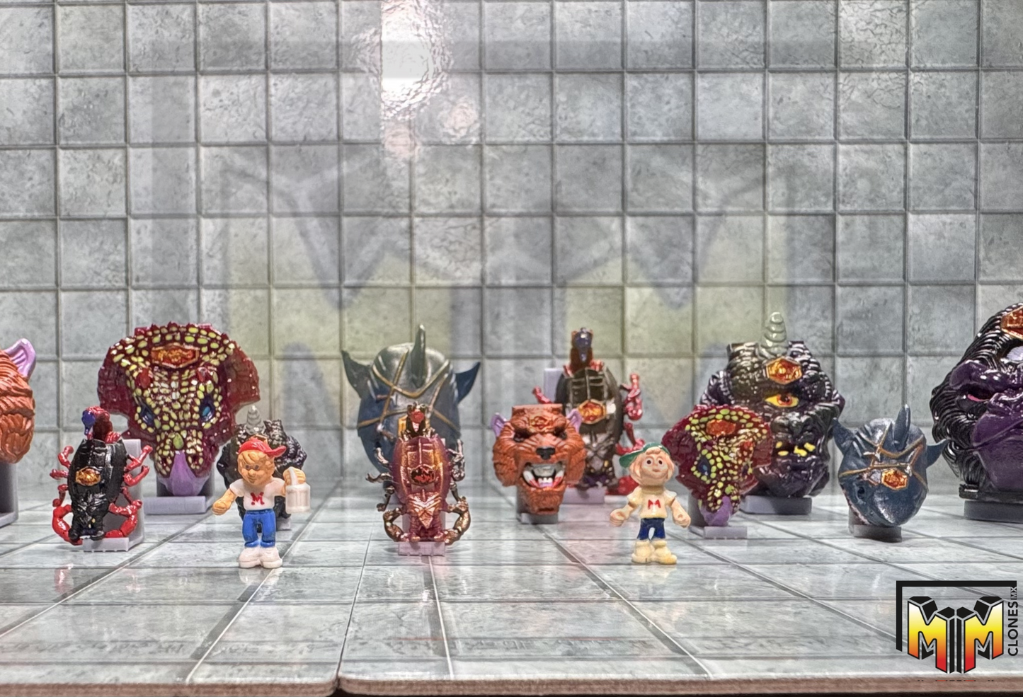 Series 2 Shell Display Set – Miniature Reproductions (Set of 6)