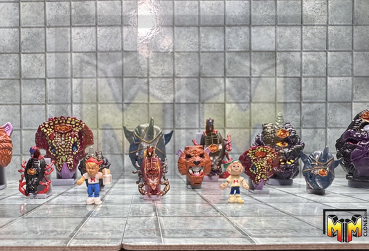 Series 2 Shell Display Set – Miniature Reproductions (Set of 6)
